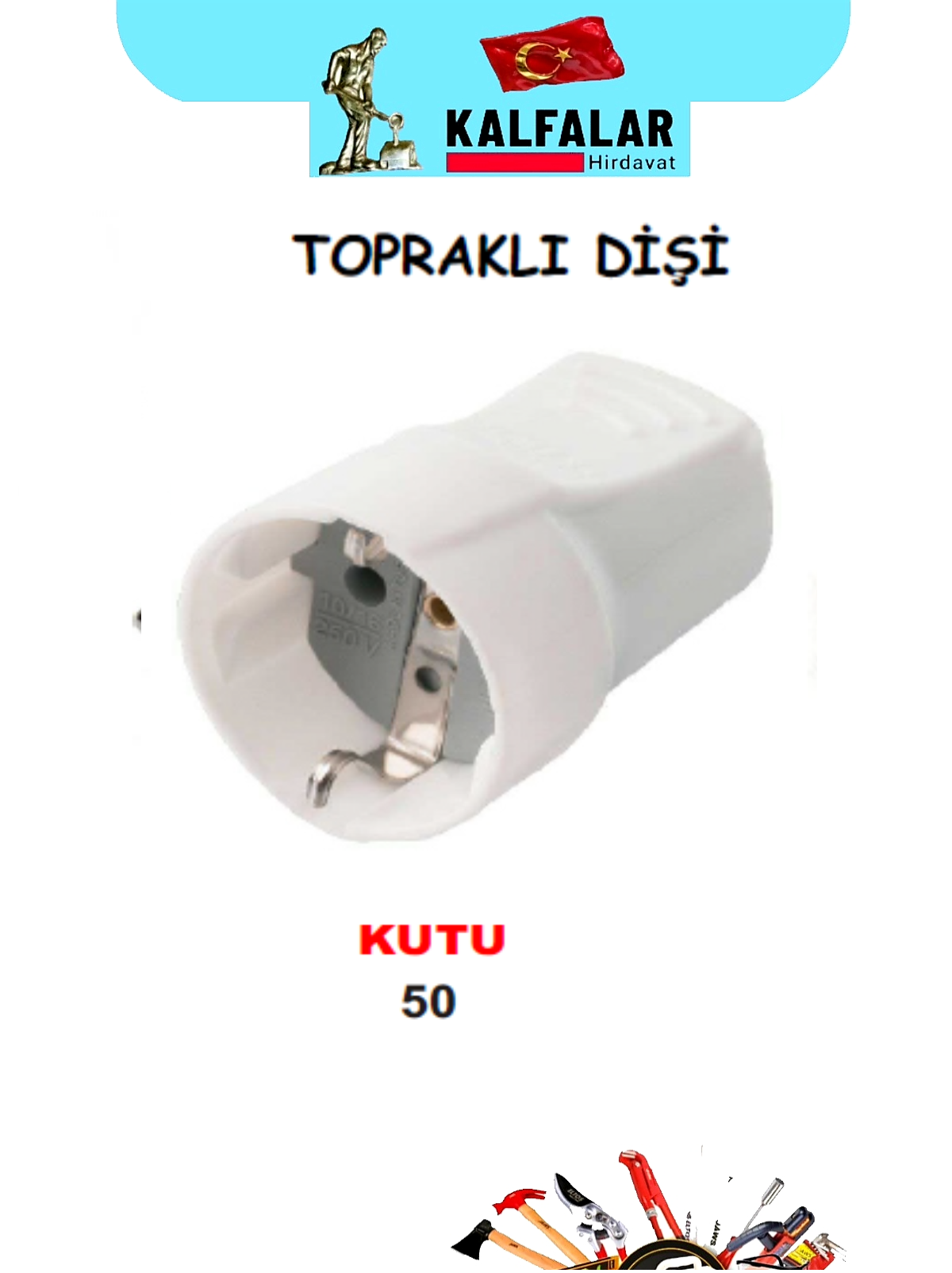 FİŞ TOPRAKLI DİŞİ  